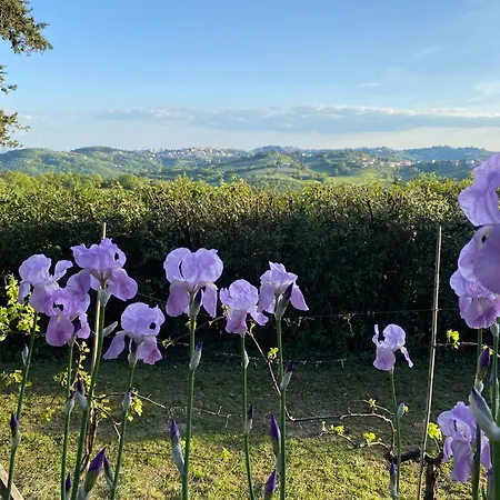 Relais Casamassima-2
